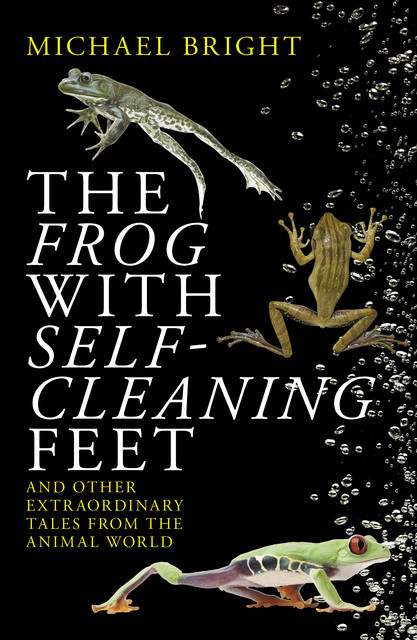 The Frog with Self-cleaning Feet, Michael Bright