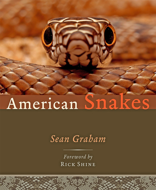 American Snakes, Sean P. Graham