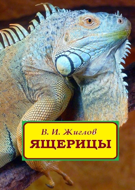 Ящерицы, Валерий Жиглов