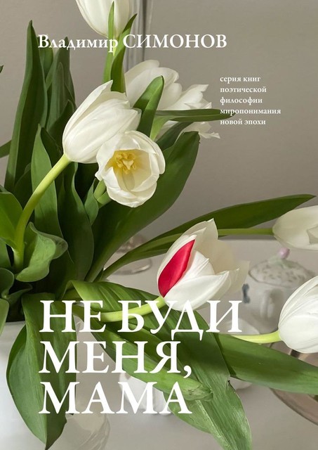 Не буди меня, мама. Серия книг поэтической философии миропонимания новой эпохи, Владимир Симонов