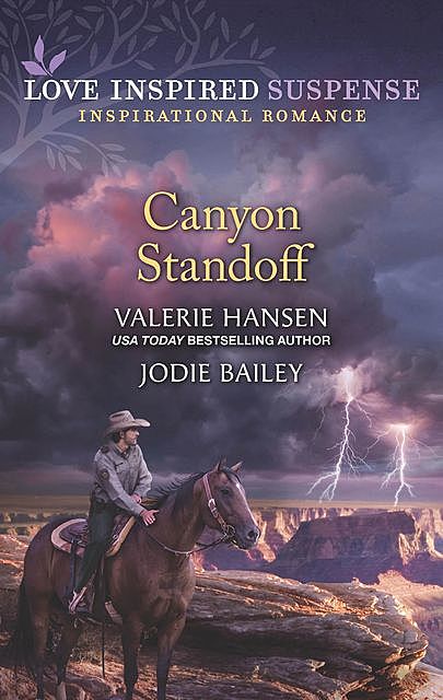 Canyon Standoff, Valerie Hansen, Jodie Bailey