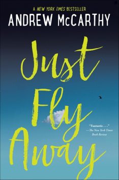 Just Fly Away, Andrew McCarthy