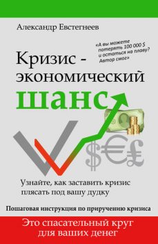 Кризис: экономический шанс, Александр Евстегнеев