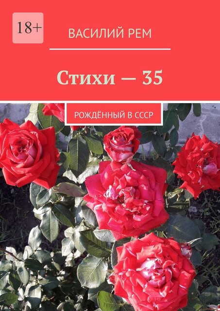 Стихи — 35. Рожденный в СССР, Василий РЕМ