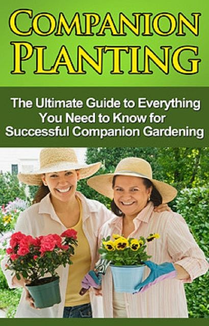 Companion Planting, Steve Ryan