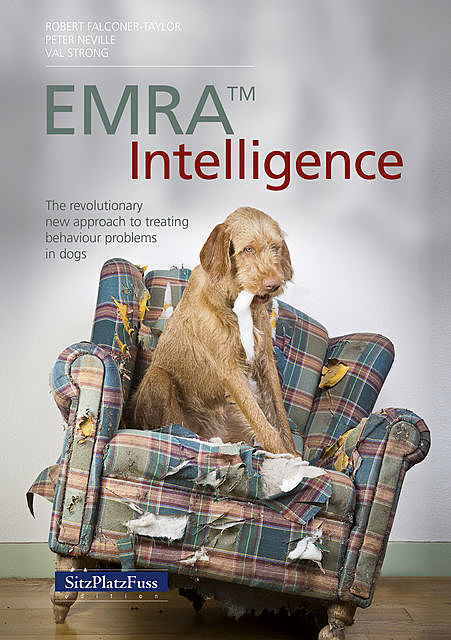 EMRA™ Intelligence, Peter Neville, Robert Falconer-Taylor, Val Strong