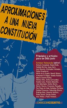Aproximaciones a una nueva constitución, Esteban Valenzuela