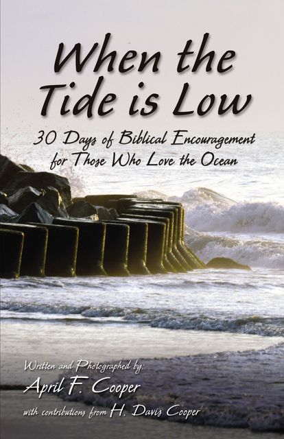 When the Tide is Low, April F. Cooper