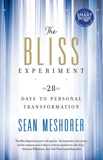 The Bliss Experiment, Meshorer Sean