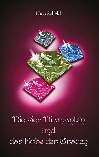 Die vier Diamanten und das Erbe der Grauen, Nico Salfeld