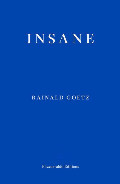 Insane, Rainald Goetz