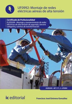 Montaje de redes eléctricas aéreas de alta tensión. ELEE0209, Francisco José Entrena González