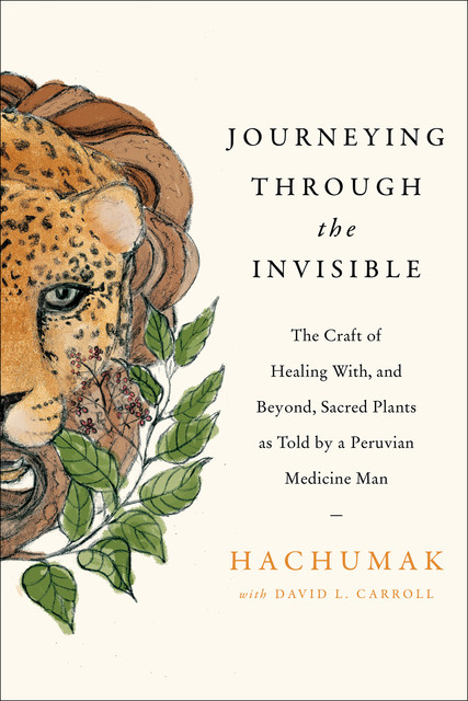 Journeying Through the Invisible, David Carroll, Hachumak