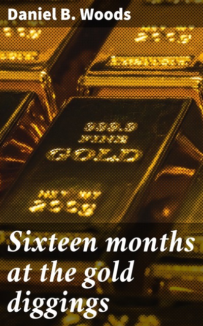 Sixteen months at the gold diggings, Daniel B. Woods