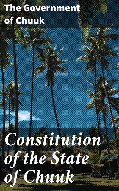 Constitution of the State of Chuuk, The Government of Chuuk