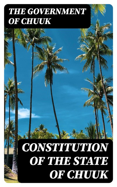 Constitution of the State of Chuuk, The Government of Chuuk