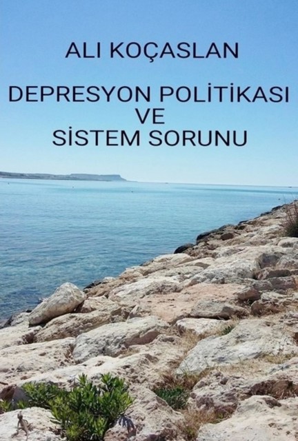 Depresyon Politikası ve Sistem Sorunu, Ali Kocaslan
