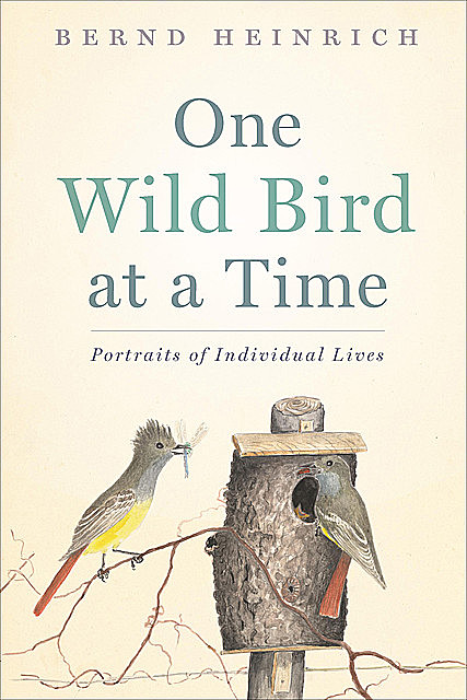 One Wild Bird at a Time, Bernd Heinrich