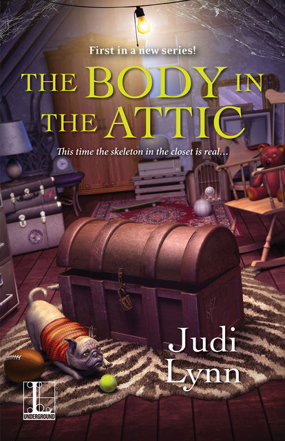The Body in the Attic, Judi Lynn