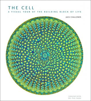 The Cell, Jack Challoner