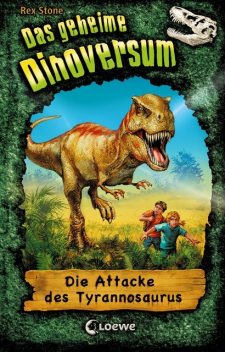 Das geheime Dinoversum (Band 1) – Die Attacke des Tyrannosaurus, Rex Stone