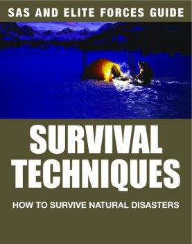 Survival Techniques, Alexander Stilwell