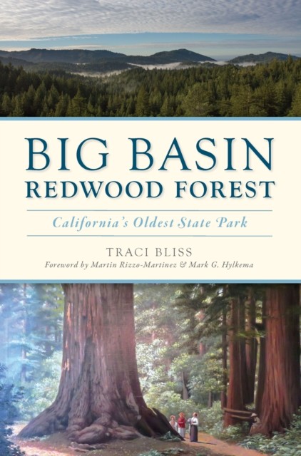 Big Basin Redwood Forest, Traci Bliss