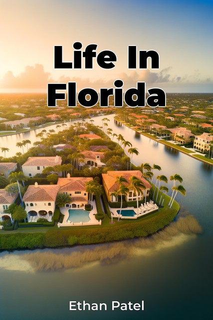 Life In Florida, Ethan Patel