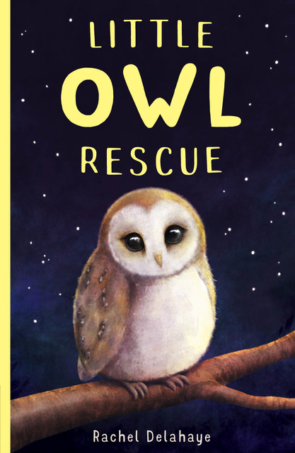 Little Owl Rescue, Rachel Delahaye