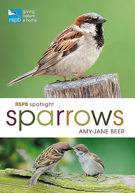 RSPB Spotlight Sparrows, Amy-Jane Beer