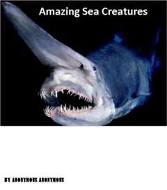 Amazing Sea Creatures Photography, Amazing Photography eBooks