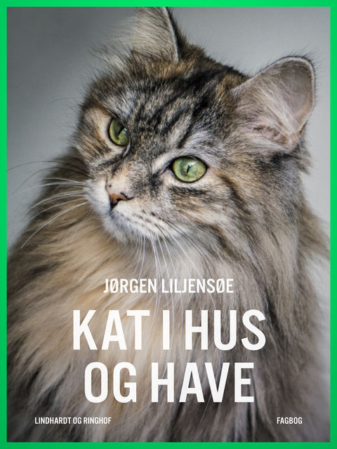 Kat i hus og have, Jørgen Liljensøe