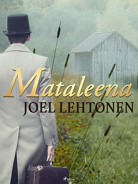 Mataleena, Joel Lehtonen