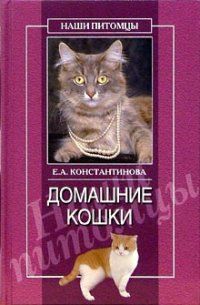 Домашние кошки, Екатерина Константинова