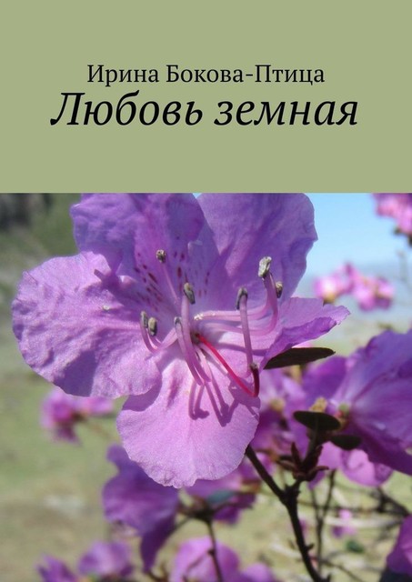 Любовь земная, Ирина Бокова-Птица