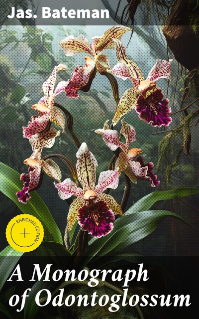 A Monograph of Odontoglossum, Jas. Bateman