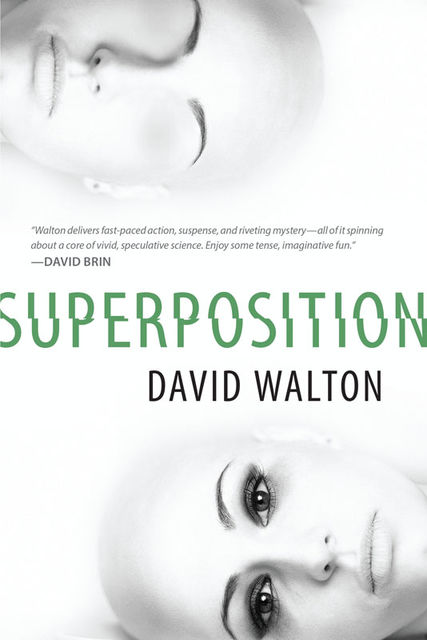 Superposition, David Walton