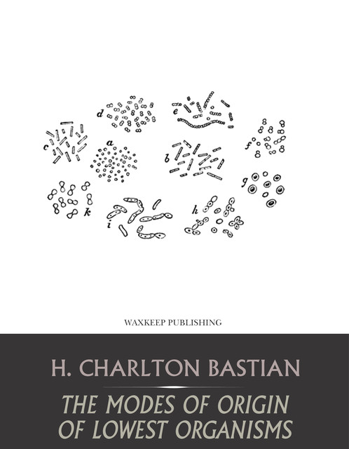 The Modes of Origin of Lowest Organisms, H. Charlton Basian