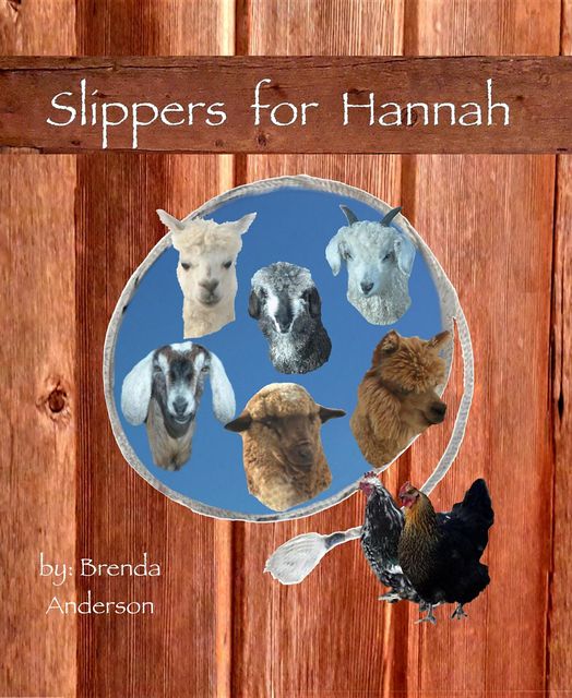 Slippers for Hannah, Brenda Anderson
