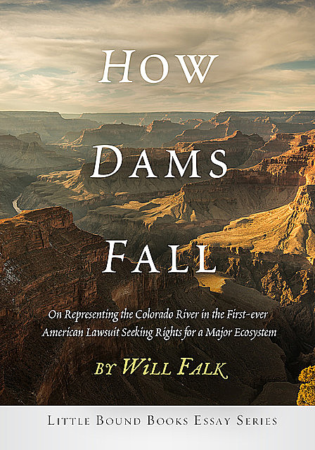 How Dams Fall, Will Falk