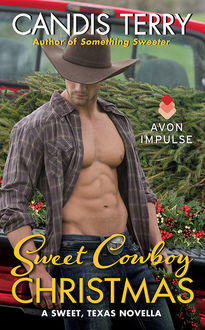 Sweet Cowboy Christmas, Candis Terry