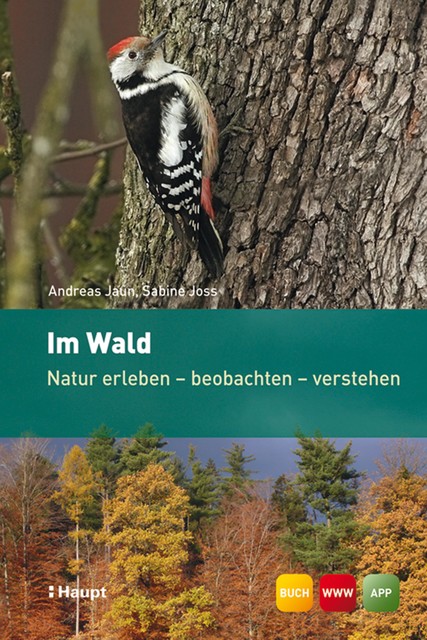 Im Wald, Andreas Jaun, Sabine Joss