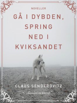 Gå i dybden, spring ned i kviksandet, Claus Senderovitz
