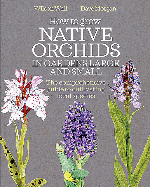 How to Grow Native Orchids in Gardens Large and Small, Dave Morgan, Wilson Wall