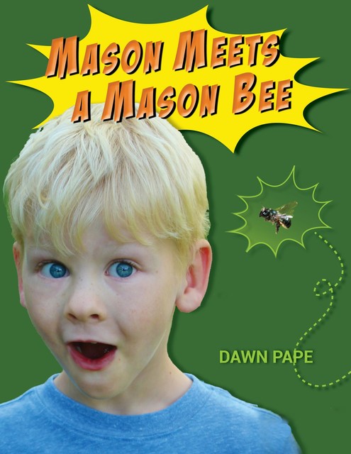 Mason Meets a Mason Bee, Dawn Pape