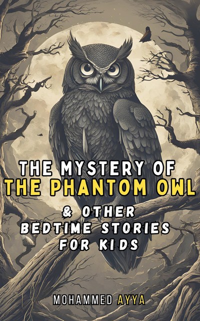 The Mystery of the Phantom Owl, Mohammed Ayya