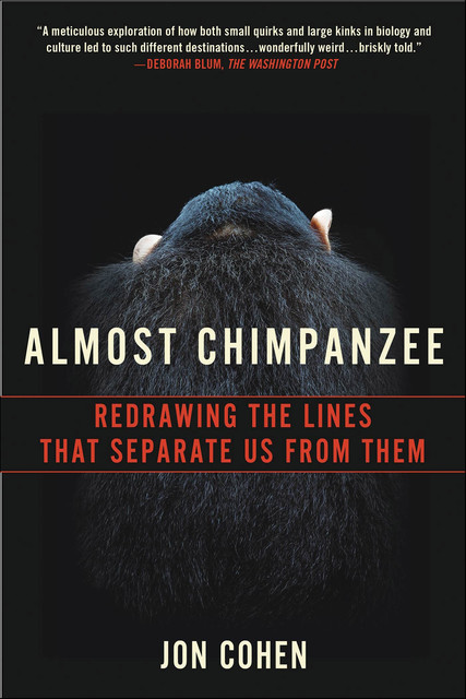 Almost Chimpanzee, Jon Cohen