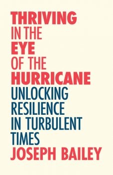 Thriving in the Eye of the Hurricane, Joseph Bailey, MA, LP