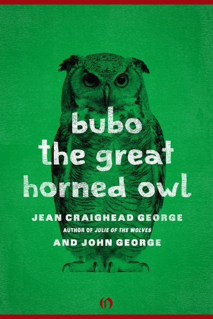 Bubo, the Great Horned Owl, George John, Jean Craighead George