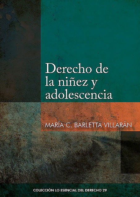 Derecho de la niñez y adolescencia, María Consuelo Barletta